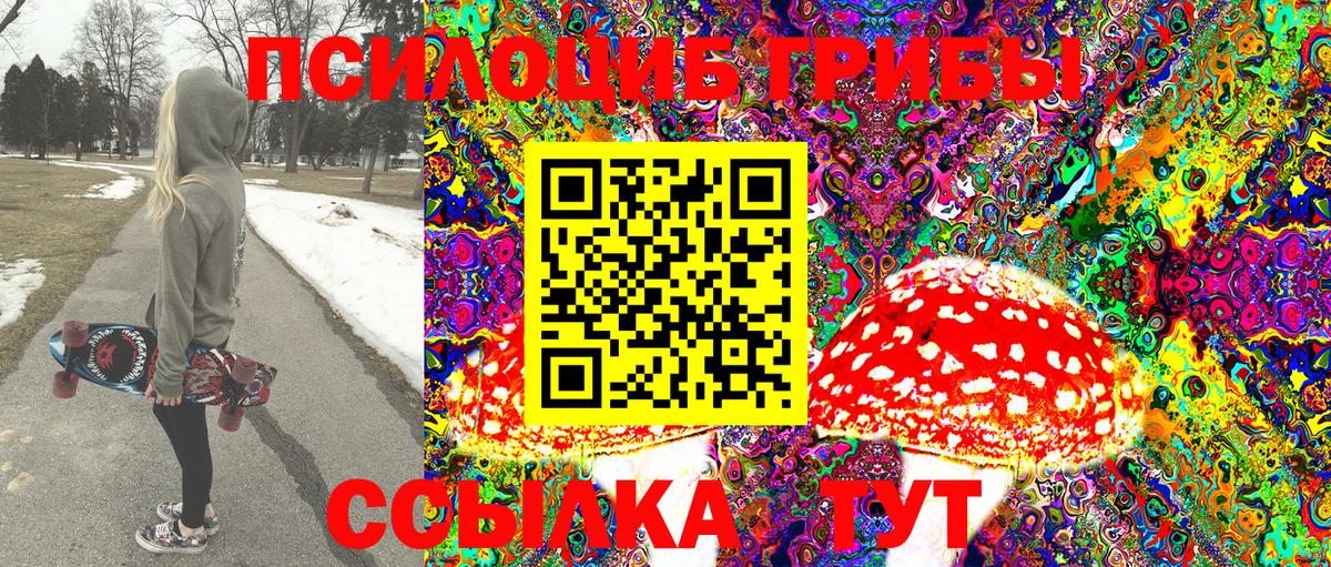 Галлюциногенные грибы Psilocybine cubensis Магнитогорск